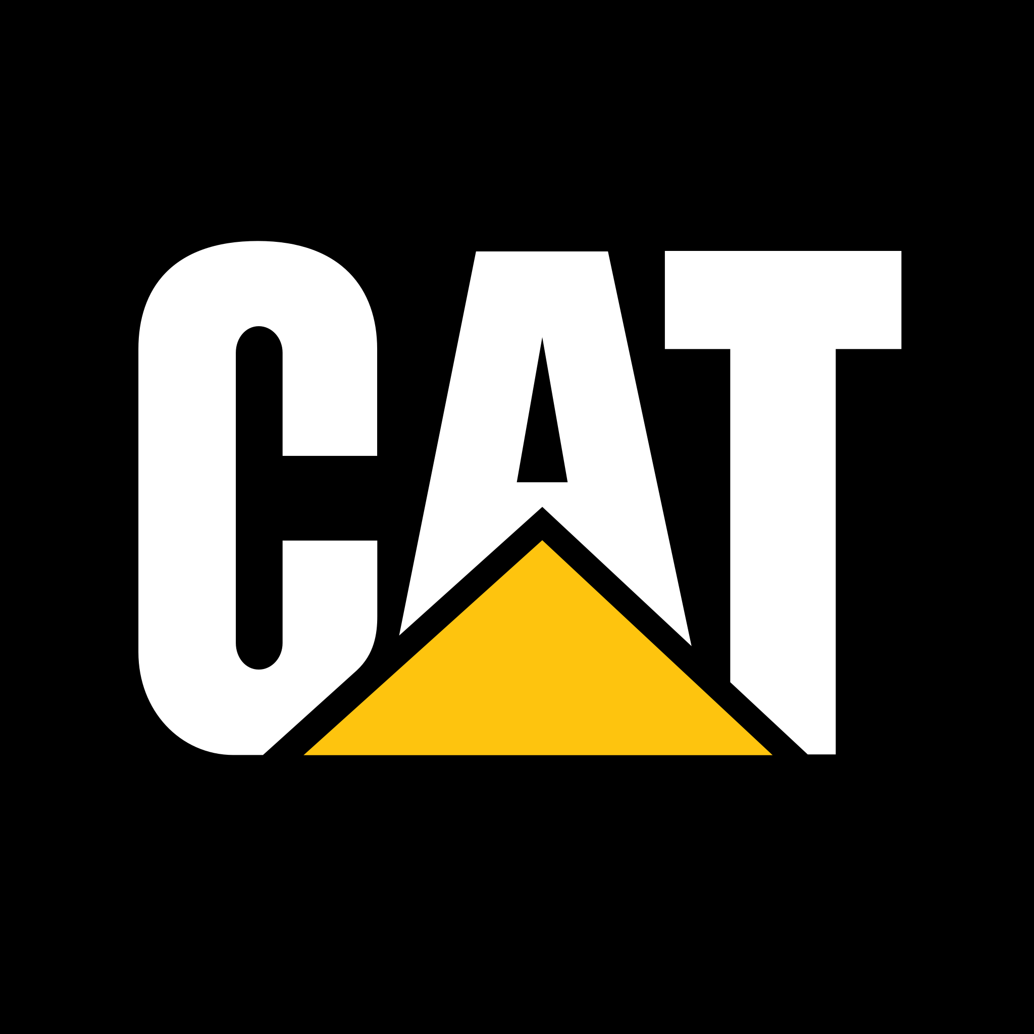 CAT Logo